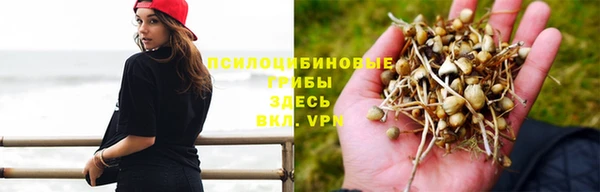 гашишное масло Белоозёрский