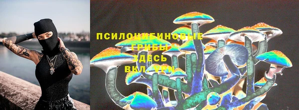 спайс Апатиты