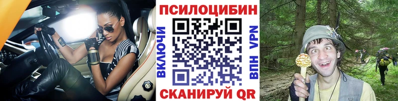 Псилоцибиновые грибы Cubensis  Богданович 